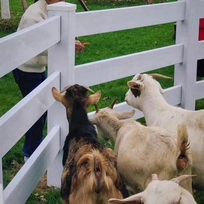 2 trilhos de plástico Cercas de campo de cavalos Cercas de segurança de equinos Paddock Cercas de trilhos de plástico