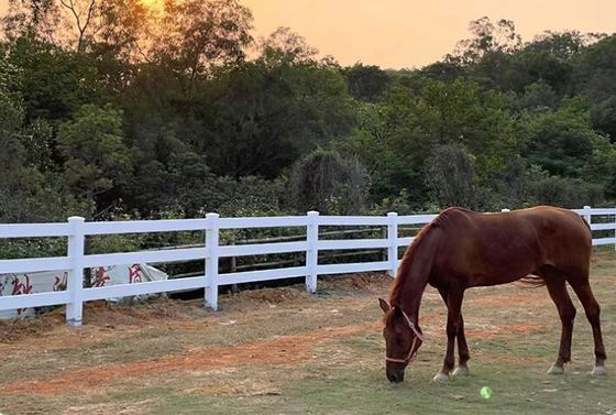 Ferradura de PVC de fazenda de cavalo de carga pesada Ferradura de cavalo de rancho de vinil de plástico Paddock