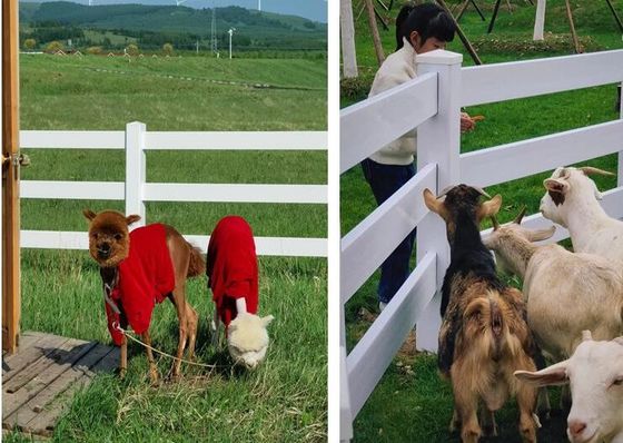 Amostra grátis 1,2m altura branco 3 trilhos vedação de vinil pesada cerca de fazenda de PVC cavalo