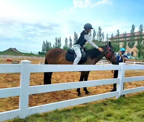gado vinil 3 trilhos PVC 2 trilhos cavalo paddock fazenda vedação post rancho