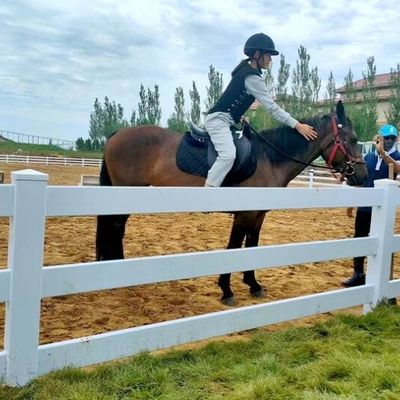 Três trilhos de PVC branco Cercas de cavalo de plástico estável Cercas de campo de cavalo