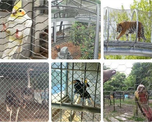 Malha de Cabo de Aço Inoxidável 304 com Oxidação Negra para Zoológico e Aviário