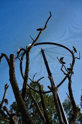 Malha de cabo de arame de aço inoxidável decorativa tecida à mão com diâmetro de fio de 1,5 mm/2 mm/2,5 mm e abertura de malha de 25*25 mm/30*30 mm/50*50 mm para rede de viveiro e malha de zoológico