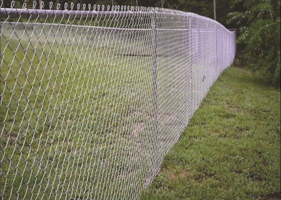 Cerca de malha de arame galvanizado por imersão a quente 6 pés 8 pés 30m 50m Rolo