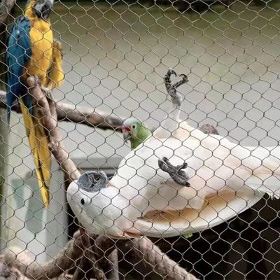 Rede de corda de aço inoxidável com forma de buraco de diamante resistente aos raios UV e garantia de 10 anos para cercas de zoológicos e aviários