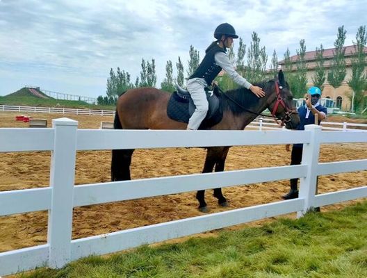 Cavalo amigável do Pvc de Eco que cerca a cor branca 5ft por 8ft 4 trilhos