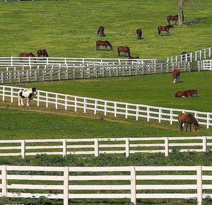Fácil de montar 4 trilhos Vinil Pvc Fazenda Cercas White Horse Rail Fence