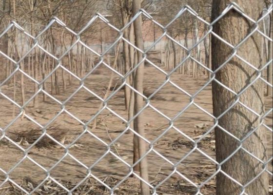 4.8mm Galvanizado Chain Link Fence 50m Roll Diamond Hole Mesh